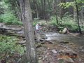 fowlers hollow.Laural run 06-09-14 056